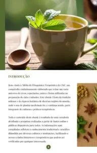 Introdução Bônus 1