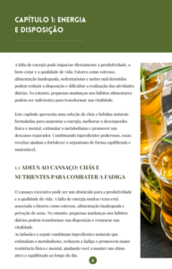 Introdução Capítulo 2